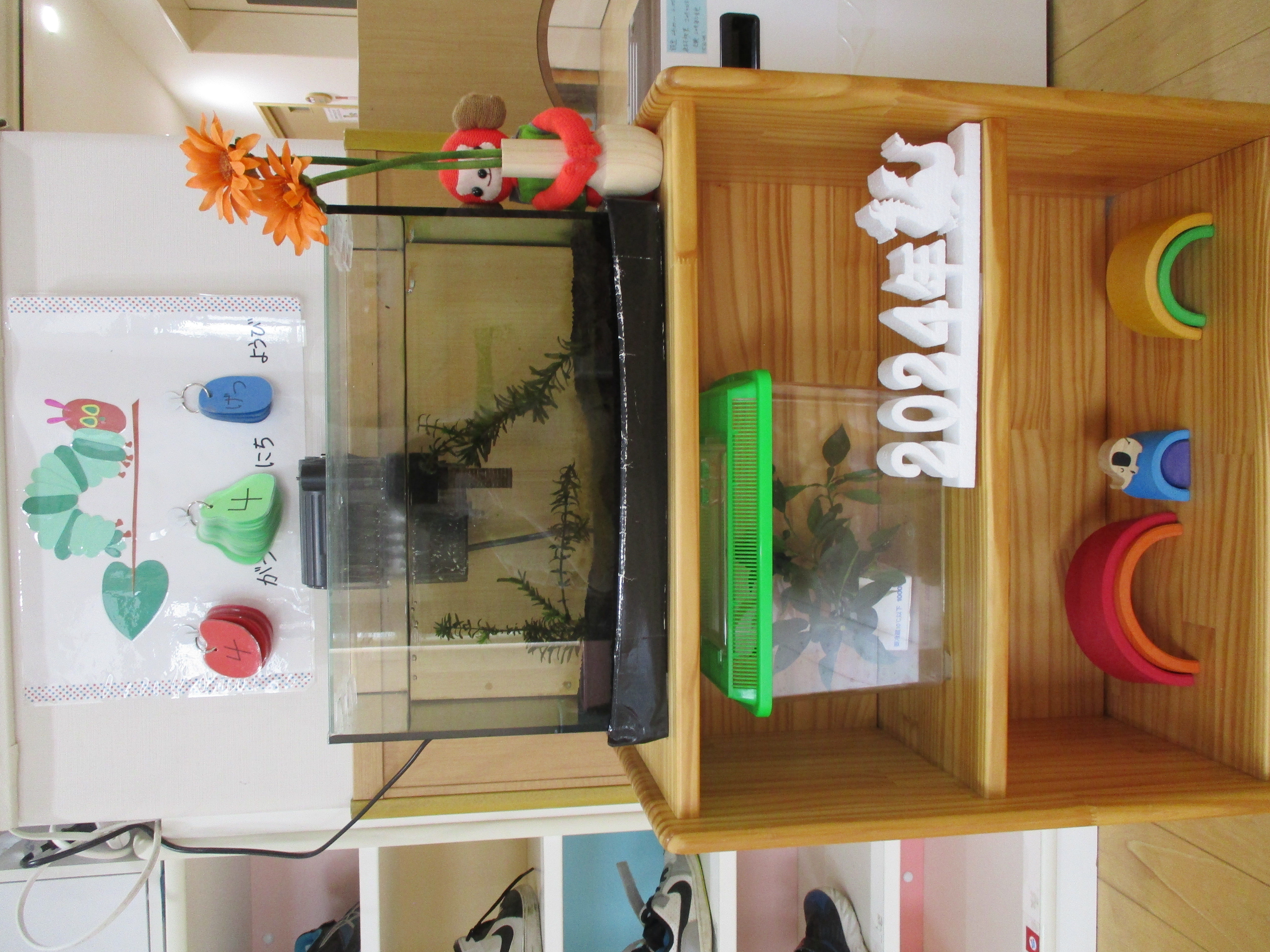 画像：メッセージ