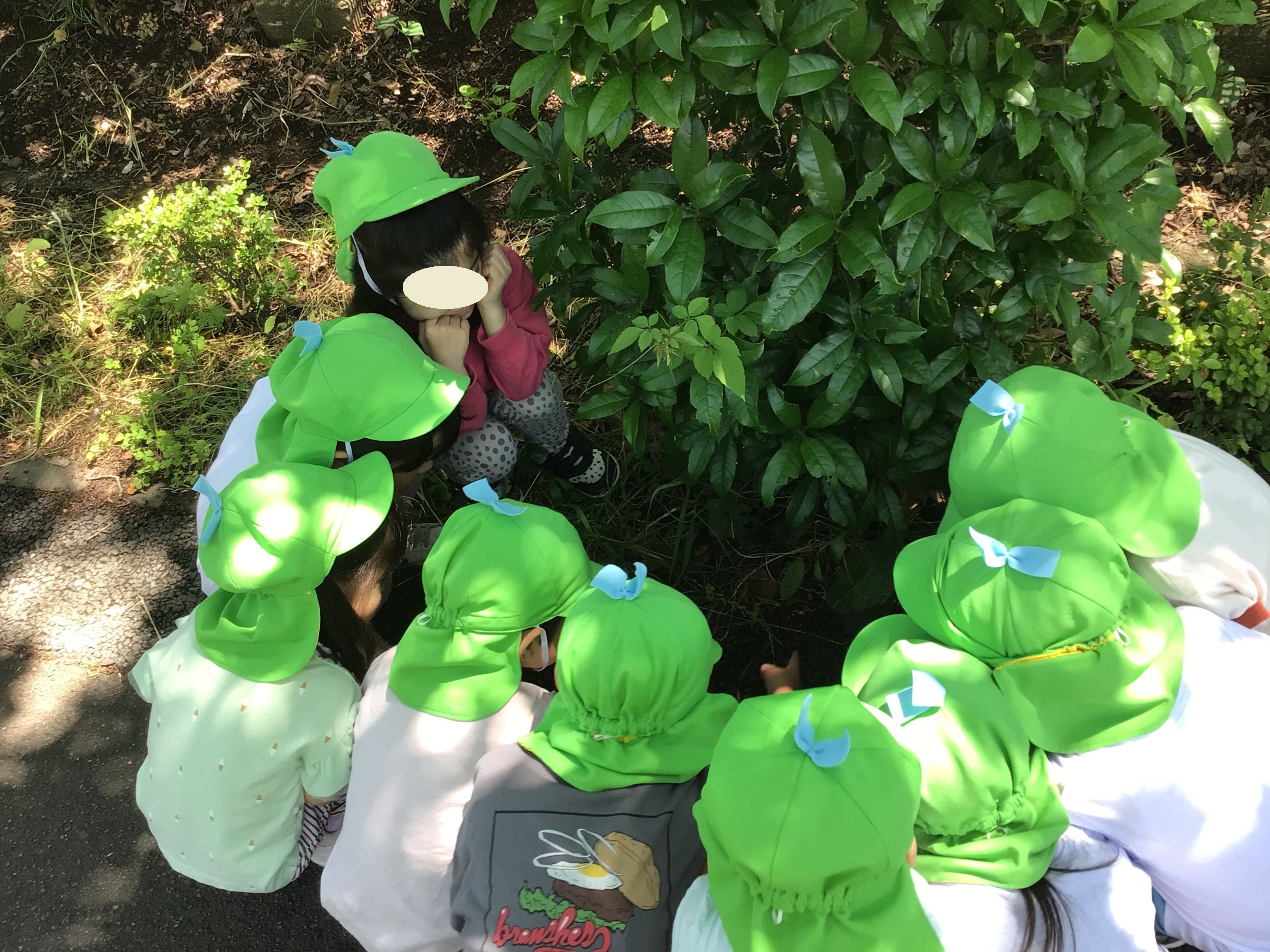 画像：メッセージ